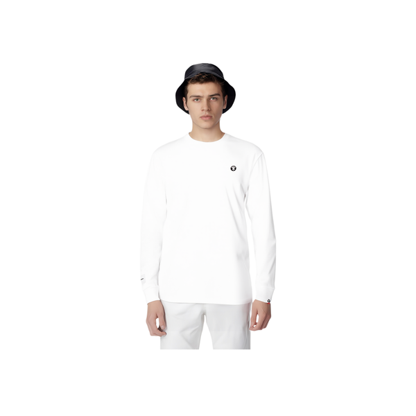 Aape T