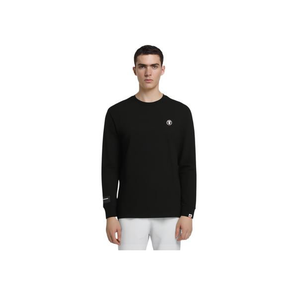 Aape T