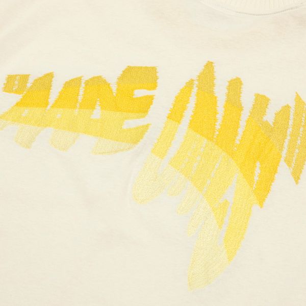 Aape T