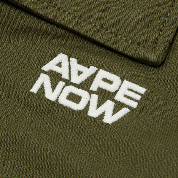 Aape