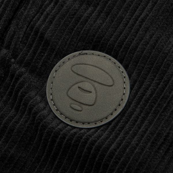 Aape
