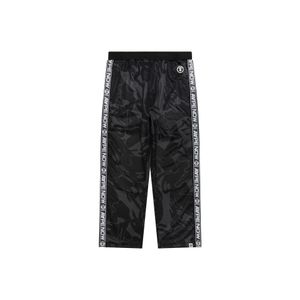 Aape