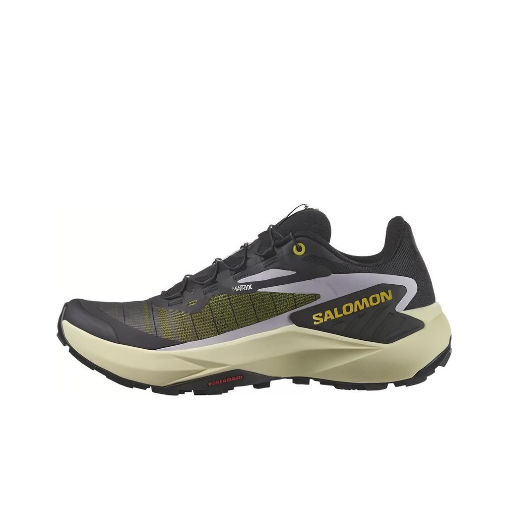 SALOMON Genesis
