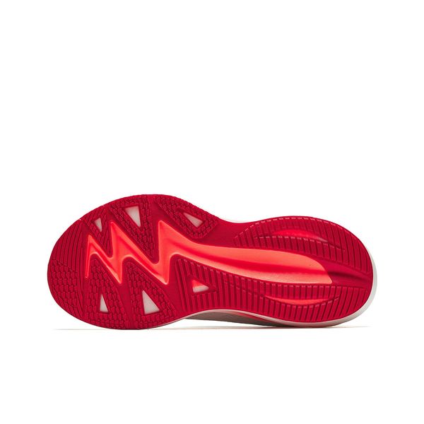 Anta