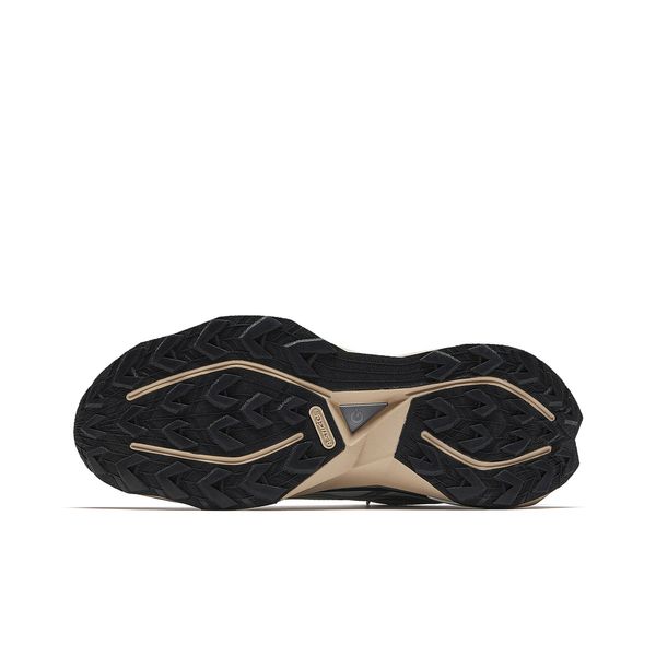 Anta