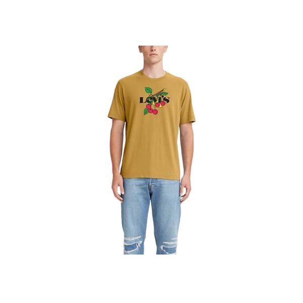 Levis