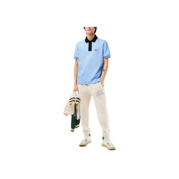 LACOSTE Collaboration