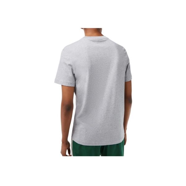LACOSTE Collaboration T
