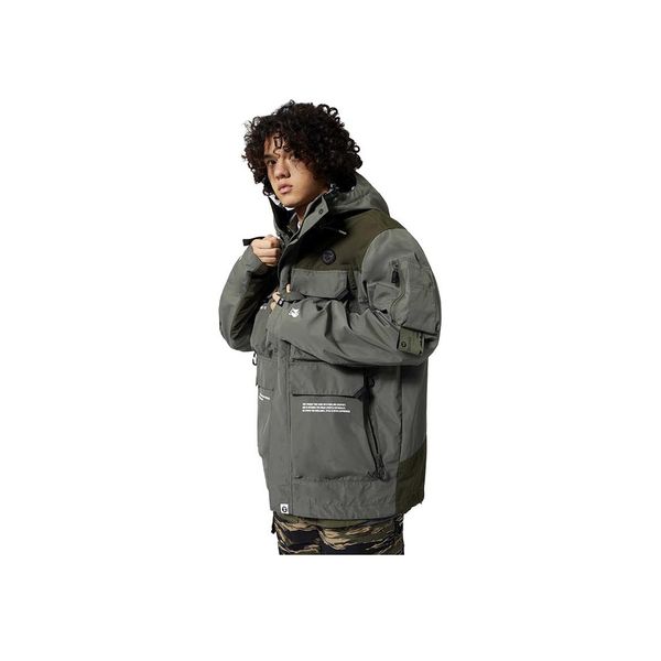 Aape