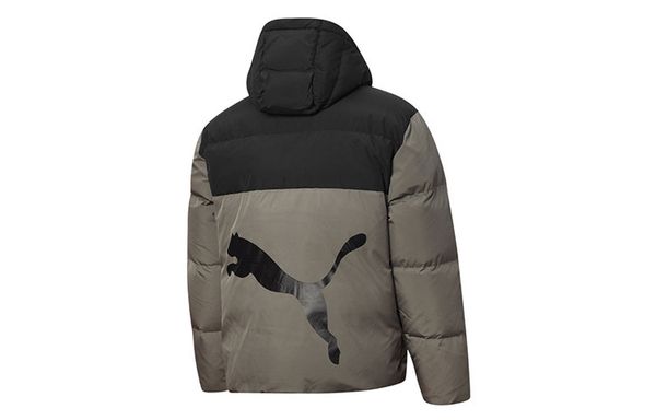 PUMA