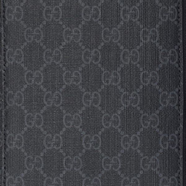 Gucci Canvas
