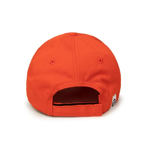 Aape