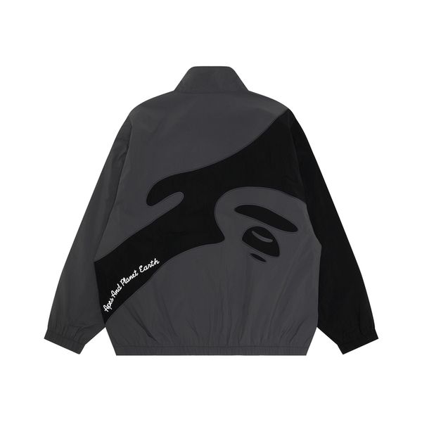 Aape