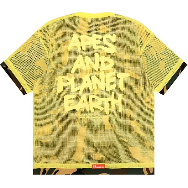 aape