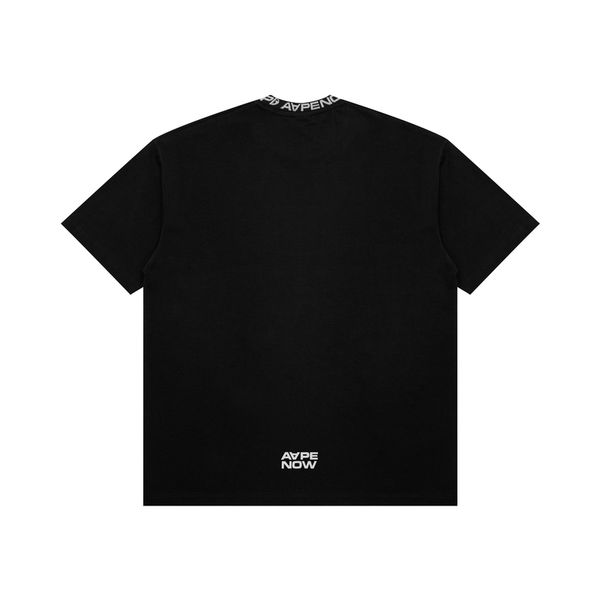 Aape T