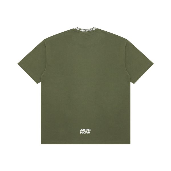 Aape T
