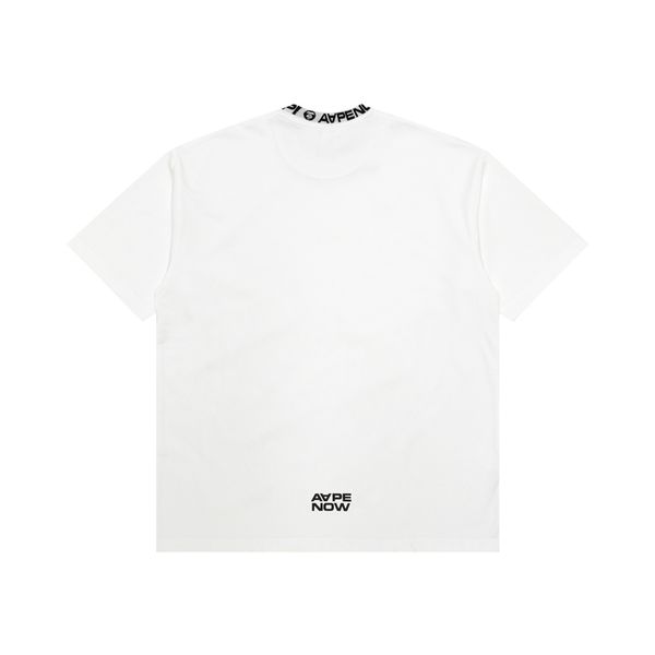 Aape T