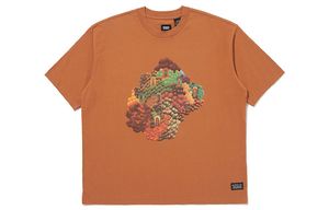 Levis T
