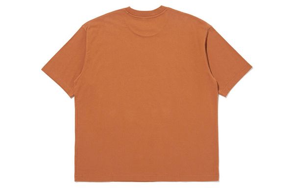 Levis T