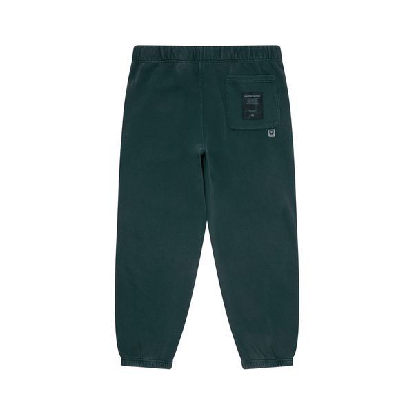 Aape