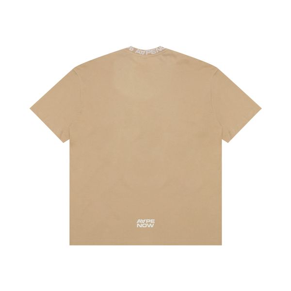 Aape T