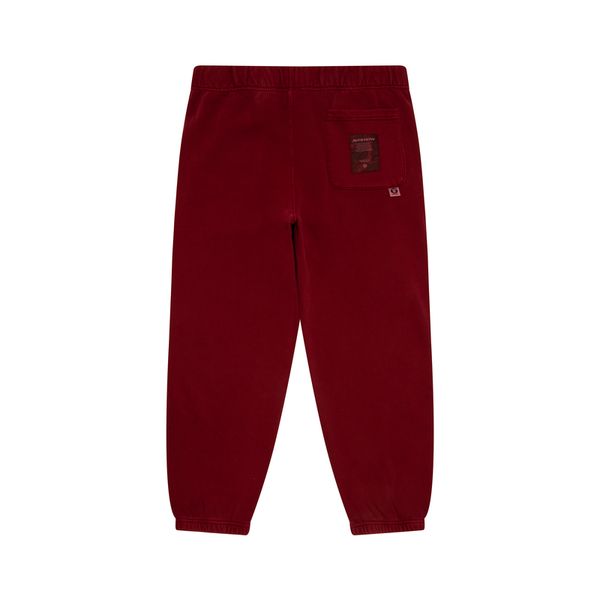 Aape