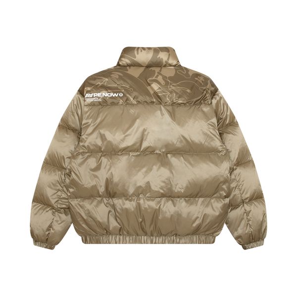 Aape