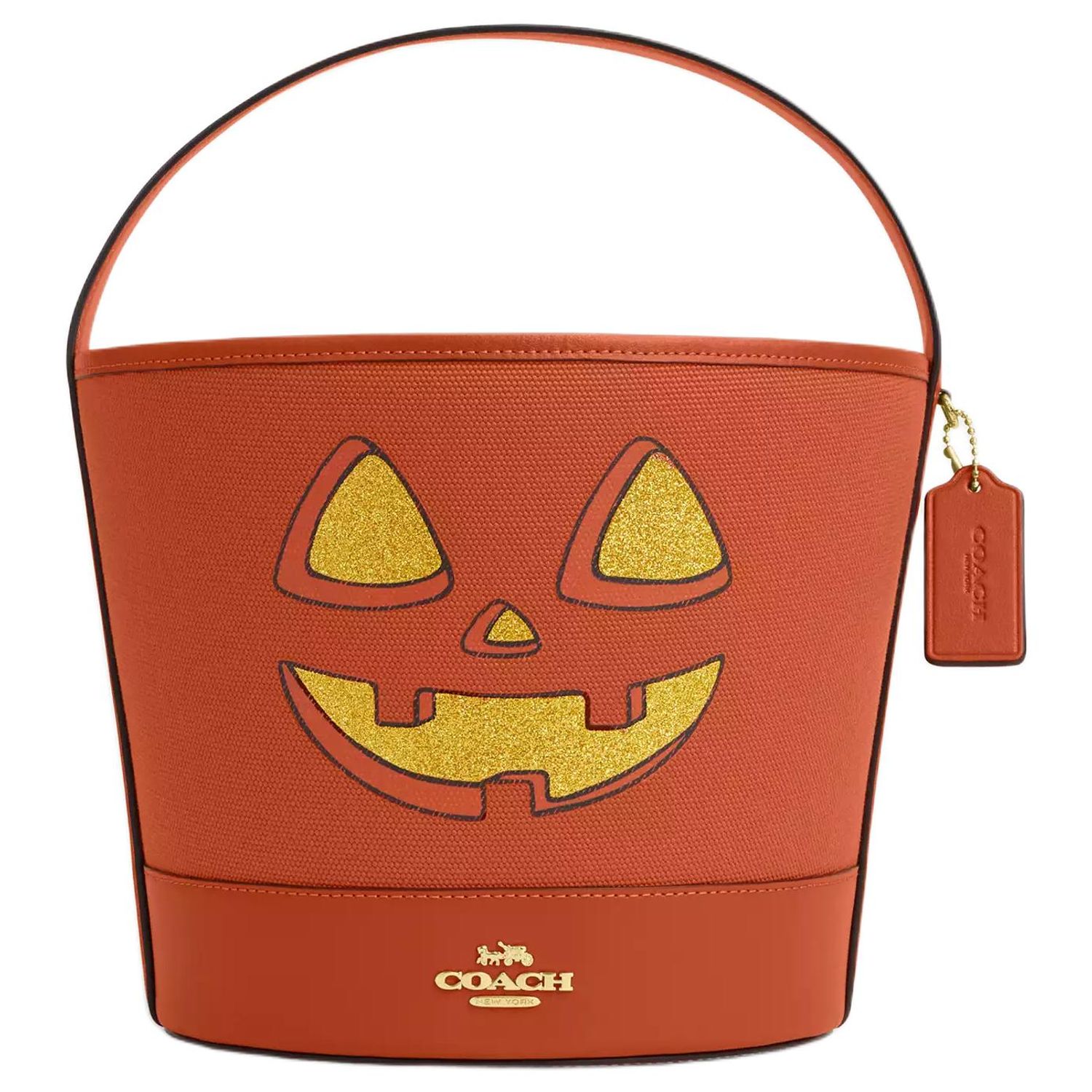 COACH Canvas