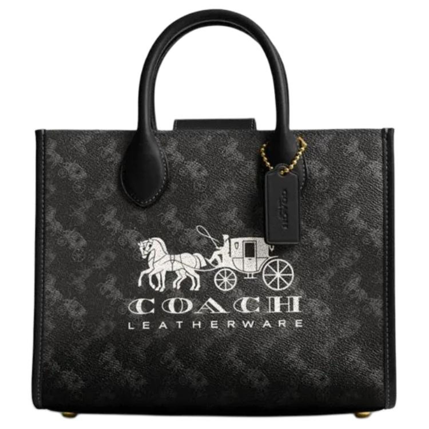 COACH Ace