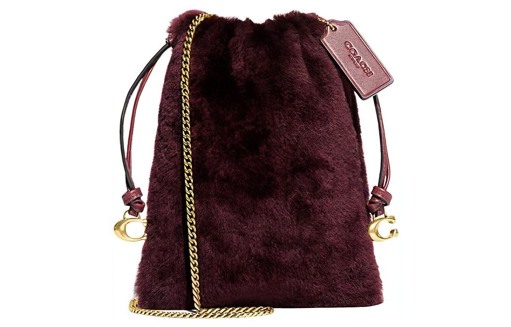 COACH Pouch