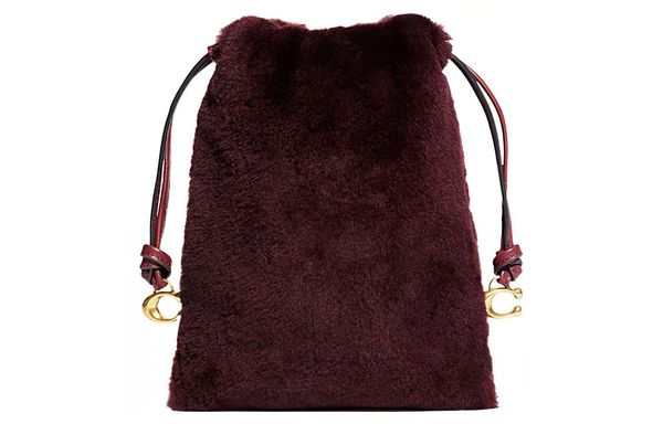 COACH Pouch