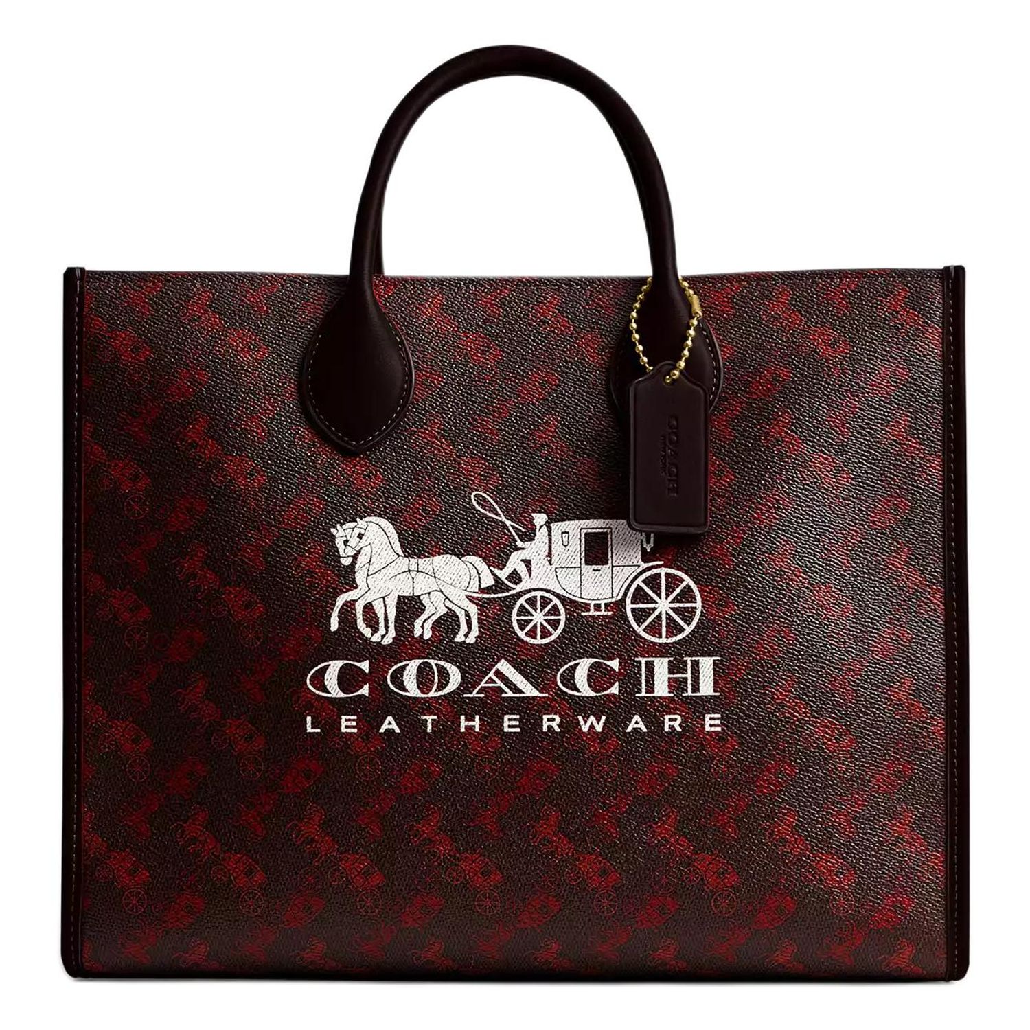 COACH Ace