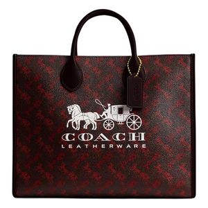 COACH Ace