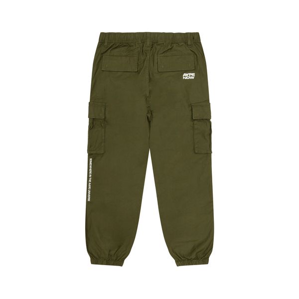 Aape