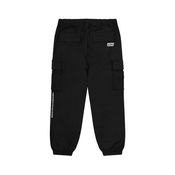 Aape