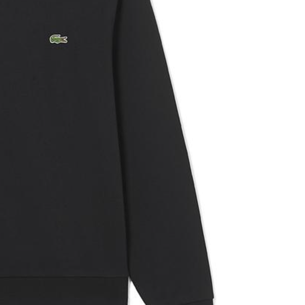 LACOSTE Collaboration 031/