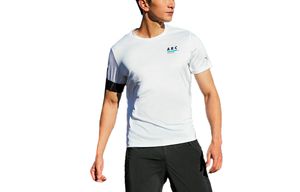 Anta