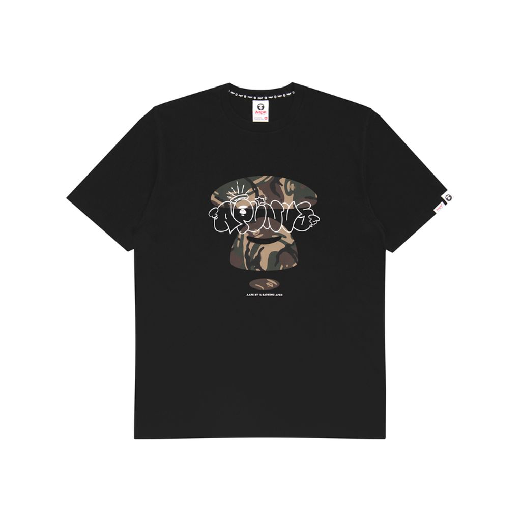 Aape T
