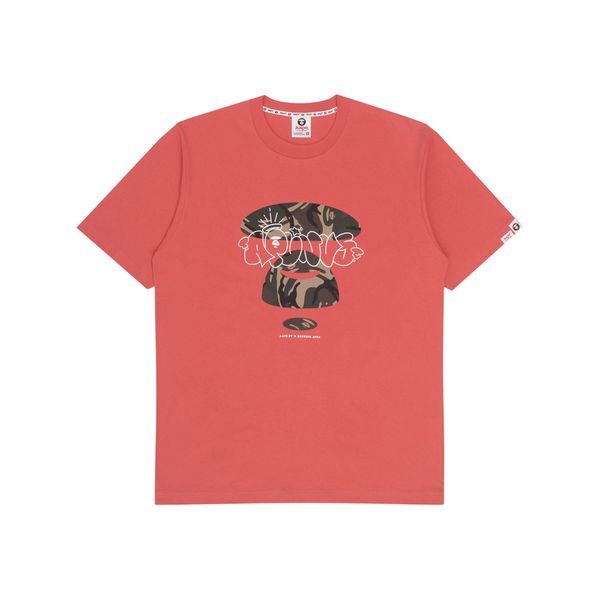Aape T