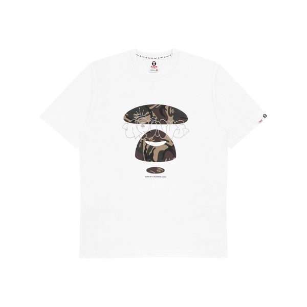 Aape T