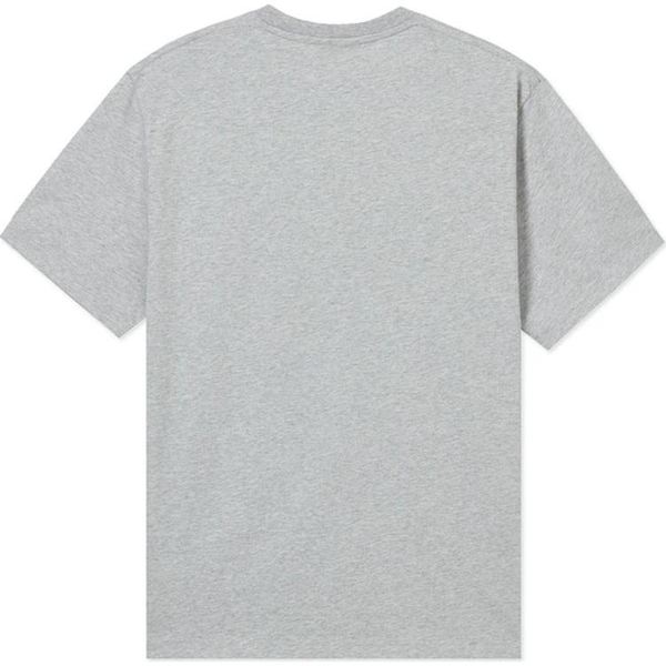 T- LACOSTE Collaboration