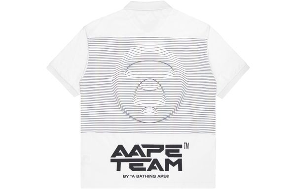Aape