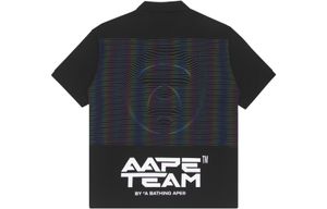 Aape