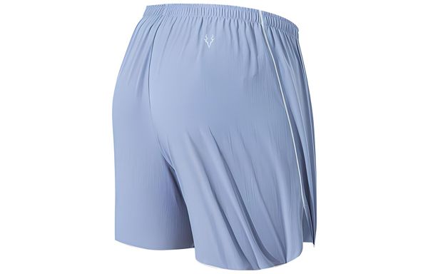 Anta