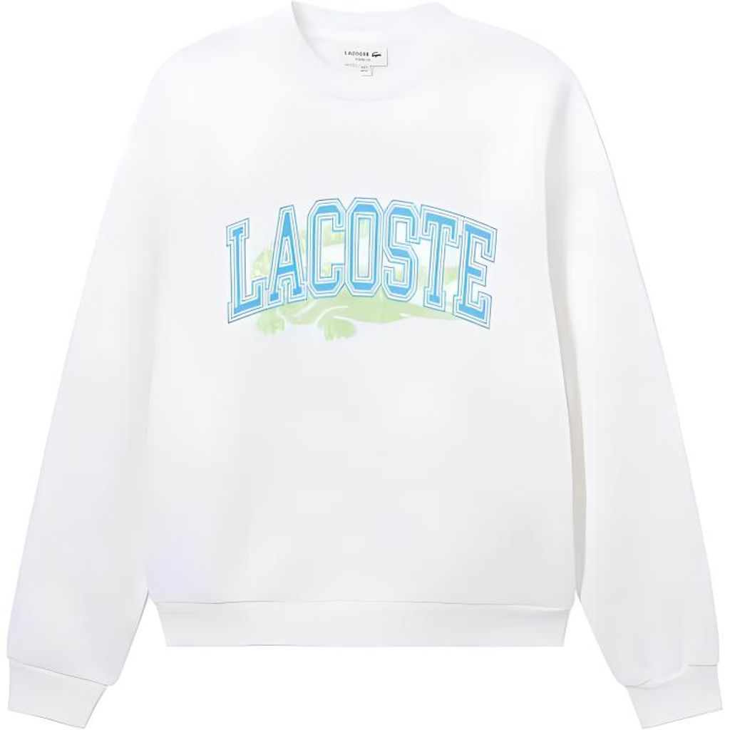 LACOSTE Collaboration