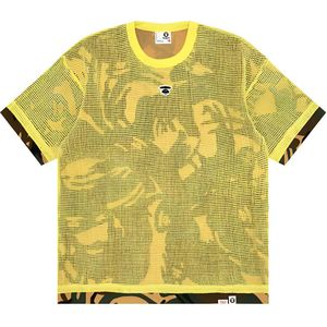 aape