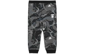Aape