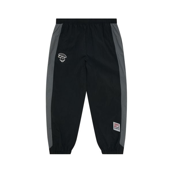 Aape