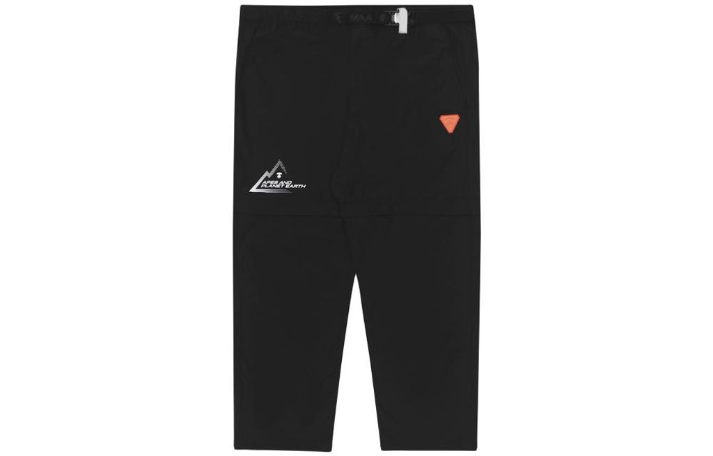 Aape