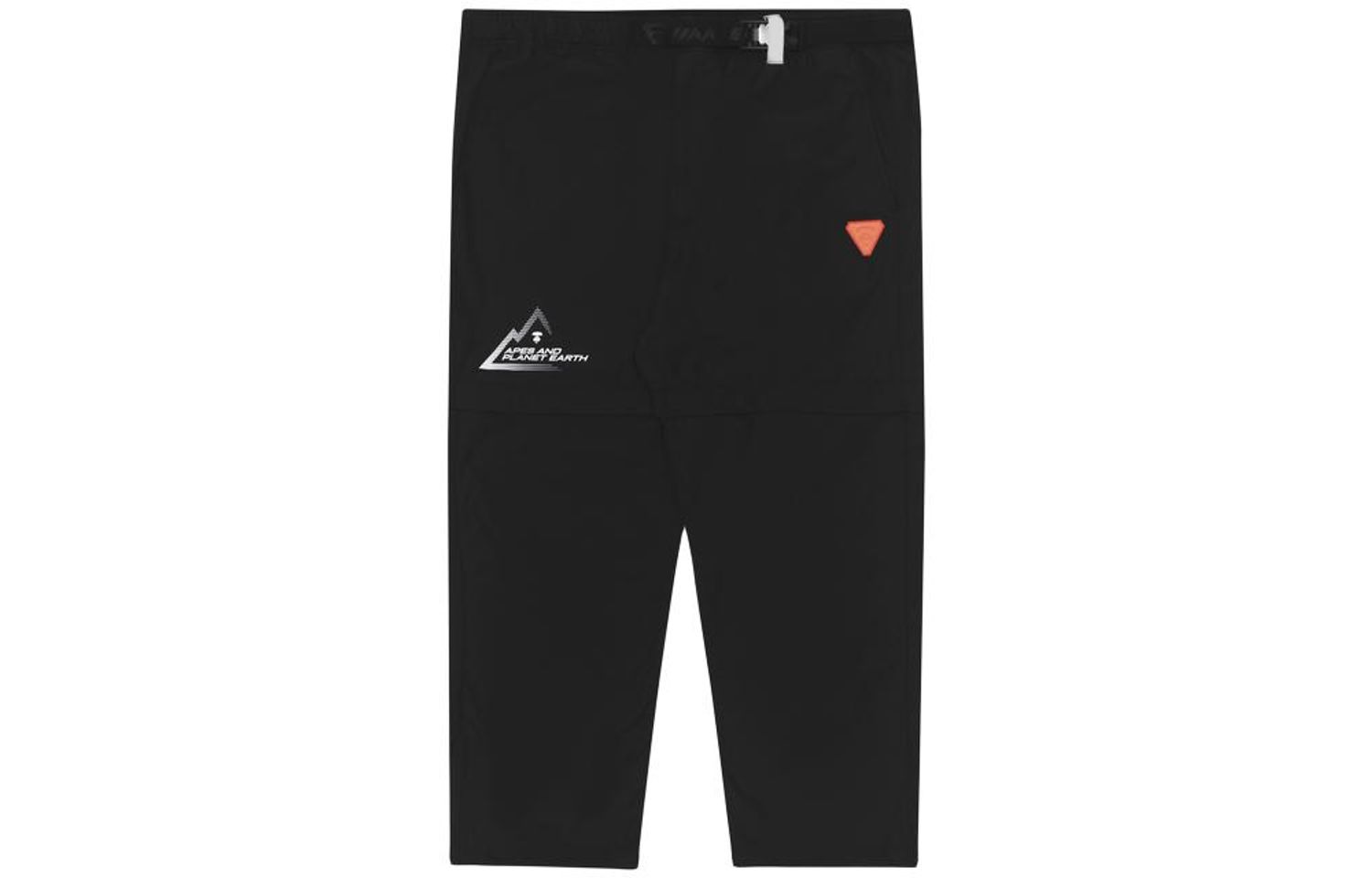 Aape